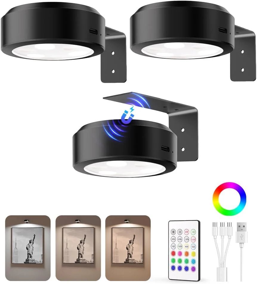 Picture & Display Lights